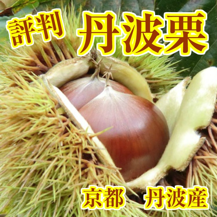 特選丹波栗 特大サイズ3-4L ぽろたん2kg残りわずか