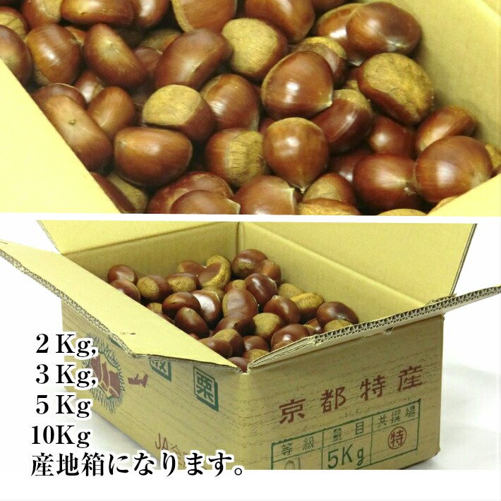 丹波栗 生栗 3L 1Kg 栗 おいしい 大粒 京都 丹波産 : e-くだものヤフー店 - 通販 - Yahoo!ショッピング