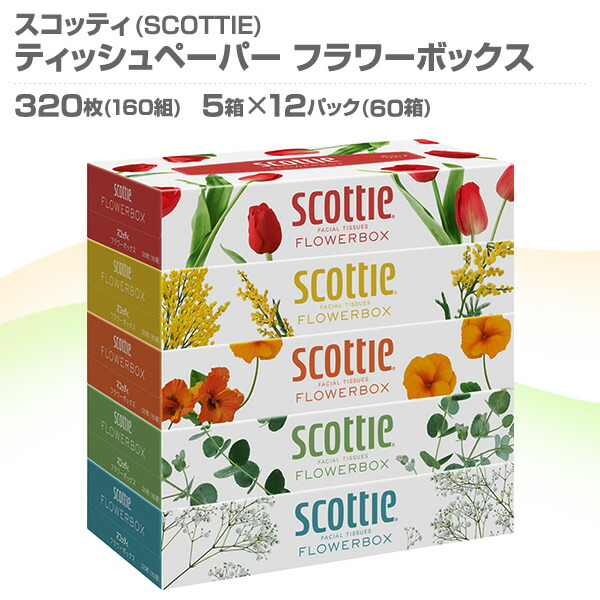 スコッティ (SCOTTIE) ティッシュペーパー フラワーボックス 320枚(160組) 5箱×12パック(60箱)