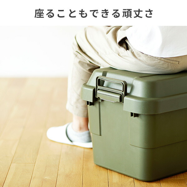 RISU（リス） トランクカーゴ 座れる 収納ボックス 収納ケース