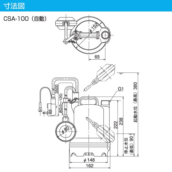 寺田ポンプ 自動 水中ポンプ 小型 CSA-100 100V 100W 家庭用水中ポンプ