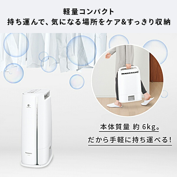 数量限定得価】 パナソニック Panasonic 衣類乾燥除湿機 ストーン