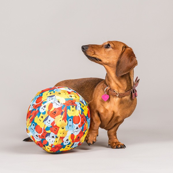 Petbloon ドッグ バルーン 犬 ペットグッズ ペット用品 風船 ボール おもちゃ 玩具 ペット用玩具 犬用品 犬のおもちゃ ボール遊び ドッグトイ Dadway くらしのeショップ 通販 Paypayモール