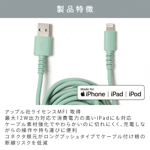 Apple iPad mini4 ゴールド本体 + ケース ライトニングケーブル