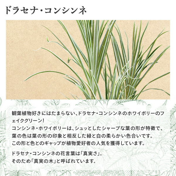 【新着商品】山善(YAMAZEN) フェイクグリーン 高さ125㎝ 水やり不要 Amazon.co.jp: 山善(YAMAZEN) フェイクグリーン 高さ125㎝ 水やり不要