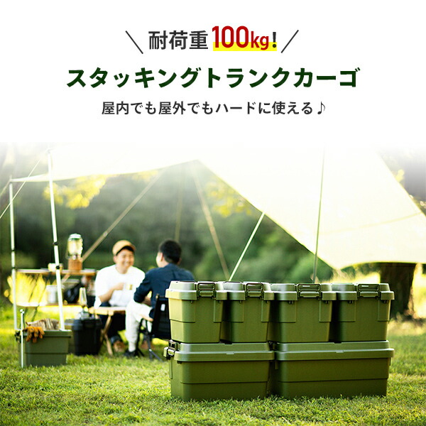 RISU（家具、インテリア） スタッキングトランクカーゴ 70L (2個