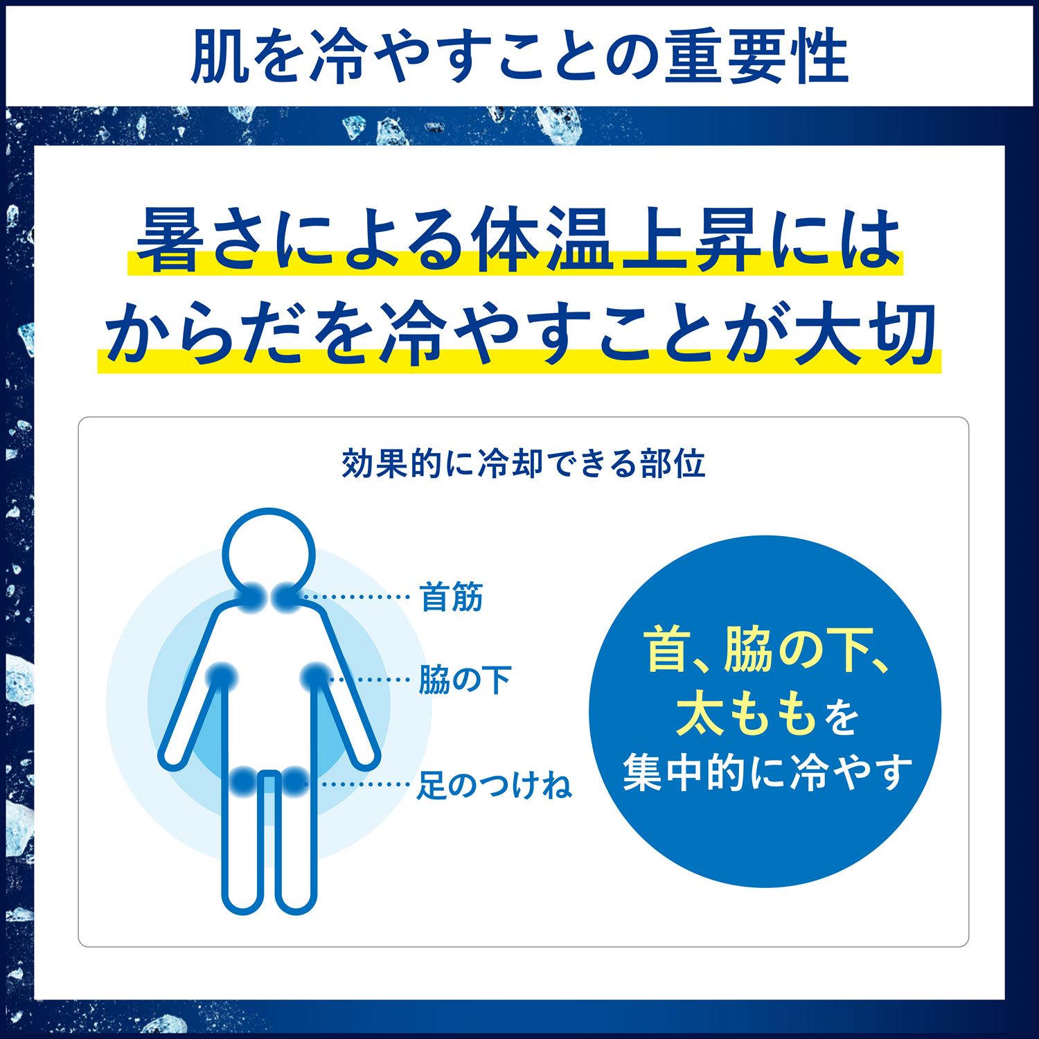 Biore ビオレ 冷タオル 無香性 5本入×24パック(120本) 個包装 日本製