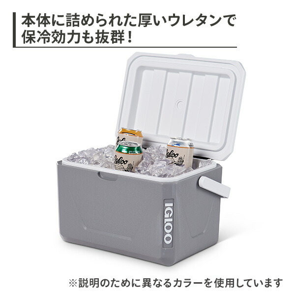 igloo（イグルー） 【在庫限りの大特価】イグルー クーラーボックス