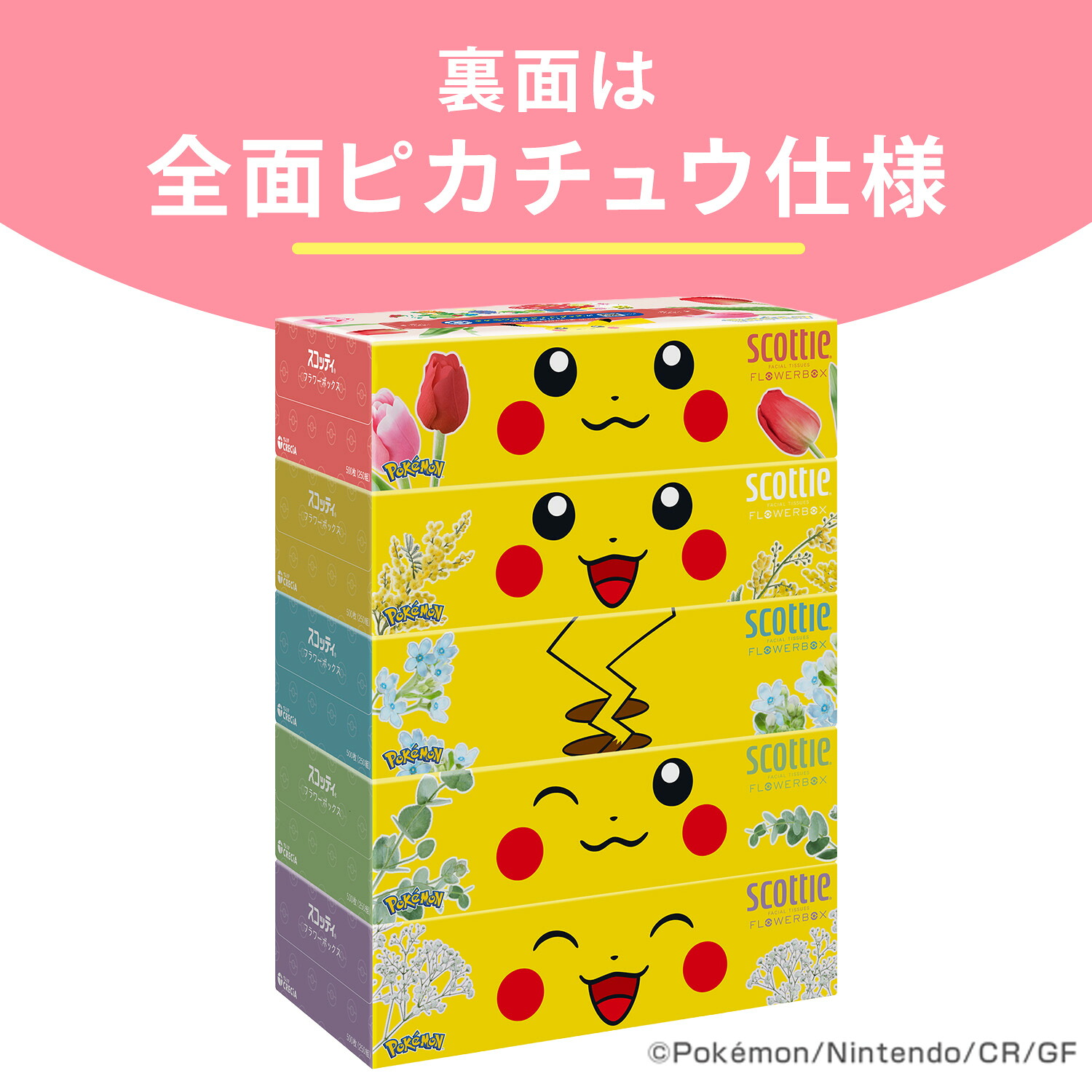スコッティ（scottie） ティッシュペーパー フラワーボックス 500枚