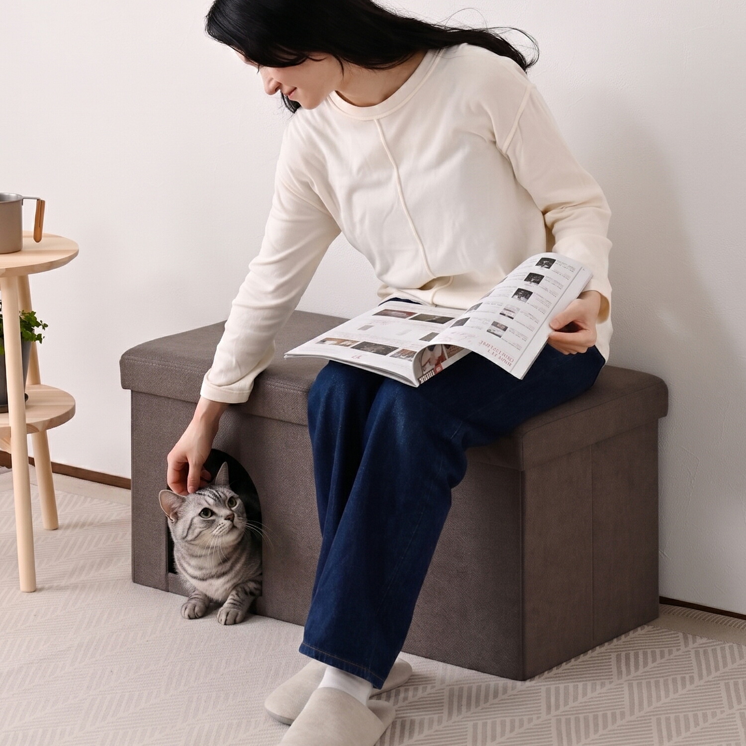 山善（YAMAZEN） ペットハウス 収納スツール キャットハウス 幅76 奥行