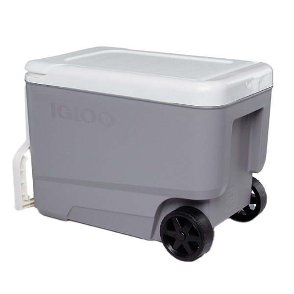 【実用美品】クーラーボックスIGLOO MAX COLD ULTRA 38L容量 igloo IGLOO イグルー クーラーボックス 大型 イグルークーラー