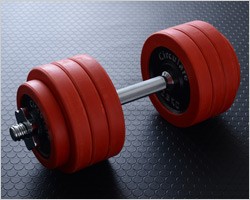 山善 ラバーダンベルセット 筋トレグッズ 道具 ウェイト
