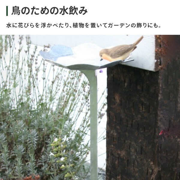 メタル　ウォーターバス　バードフィダー Amazon.co.jp: Gmofuns ガールズ&アンブレラ メタルバード