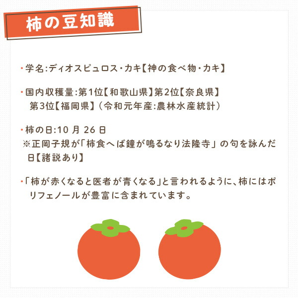 サプリメント 柿ダノミ 60粒入り (約1か月分) 柿だのみ サプリ 柿