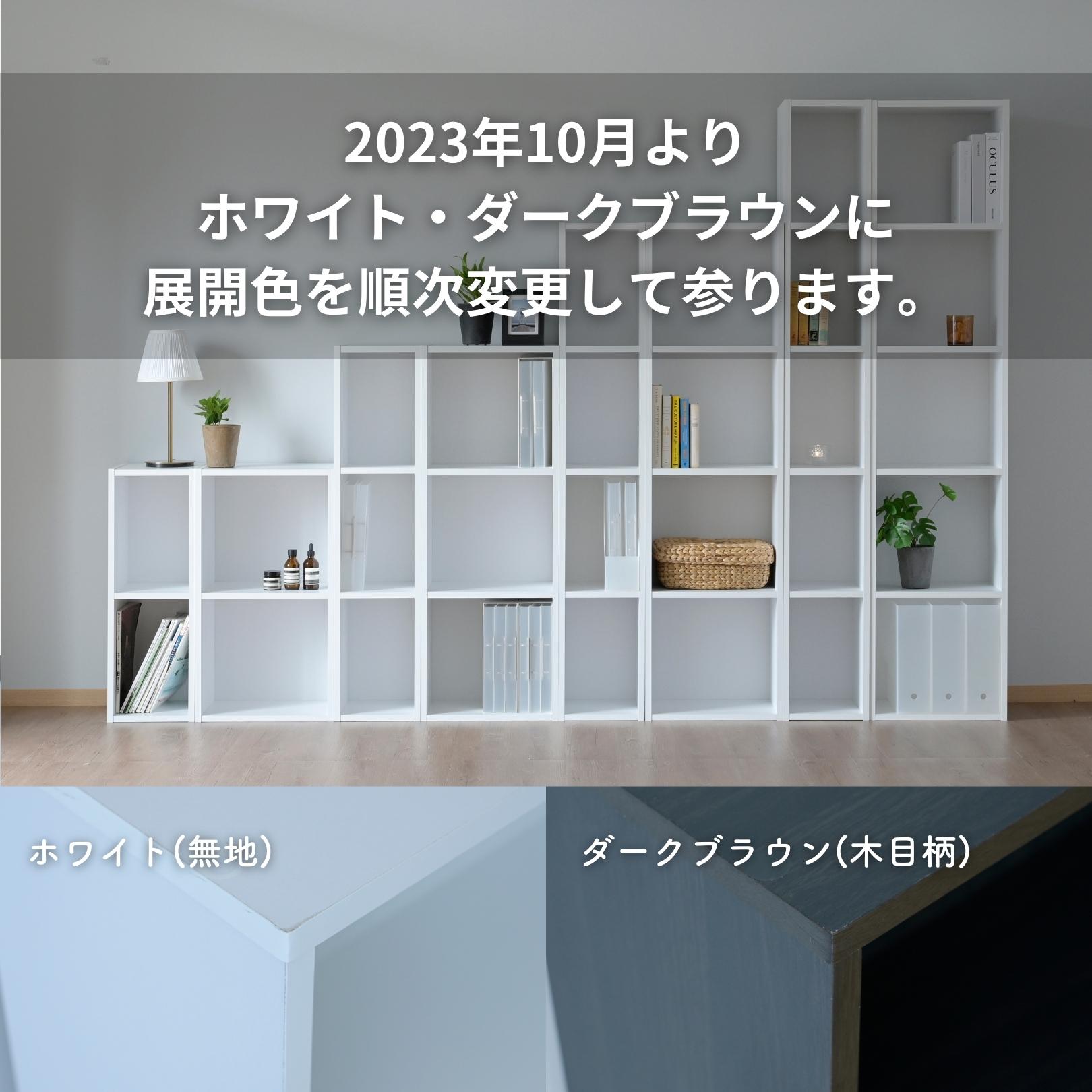 たてよこ使える A4 カラーボックス 2段 幅40 奥行29 高さ109cm 本棚 書棚 棚 シェルフ すき間収納 隙間収納 すきま すき間 隙間  収納 オープンラック A4対応