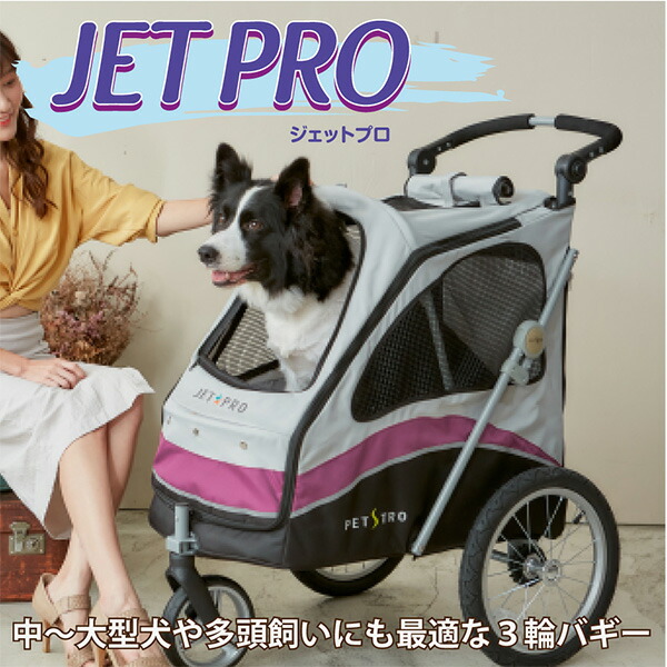 ペットパラダイス Field Glide 王冠ロックスマートR3ペット