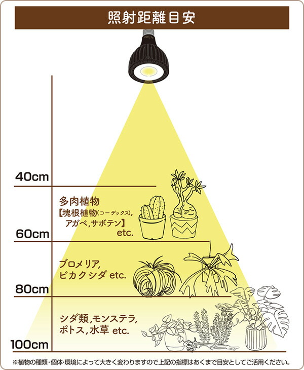ゼンスイ 植物育成ライト EVERSUN365 クリップソケットセット : くらし