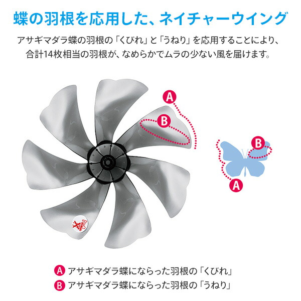 SHARP（シャープ） 扇風機 dcモーター リビング扇風機 小型 静音 首