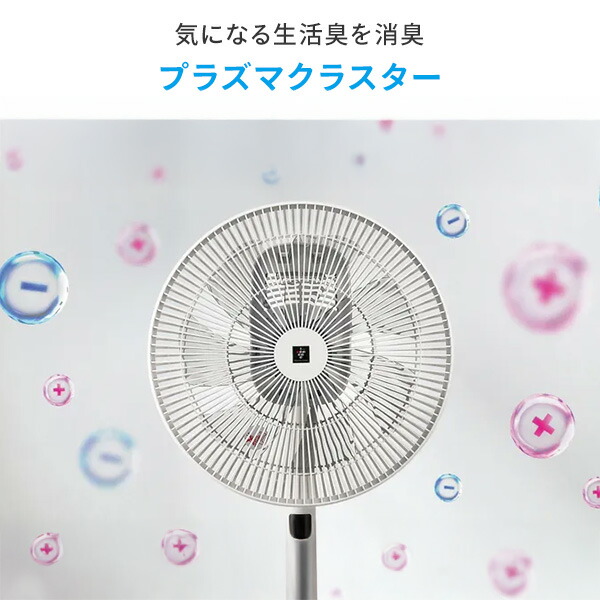 SHARP（シャープ） 扇風機 dcモーター リビング扇風機 小型 静音 首