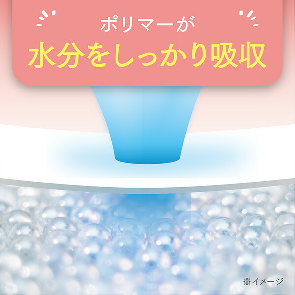 ポイズ さらさら吸水 吸水ナプキン 40cc 無香料 日本製 22枚×12(264枚