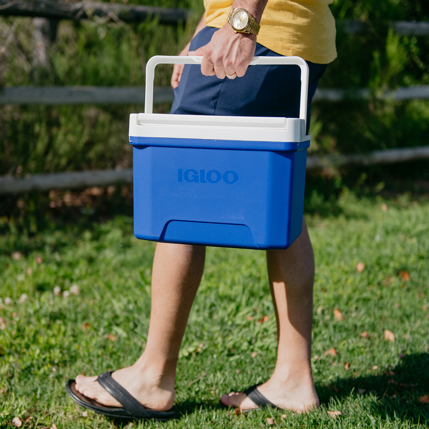 igloo（イグルー） クーラーボックス 小型 8.5L クール9 保冷 32855 