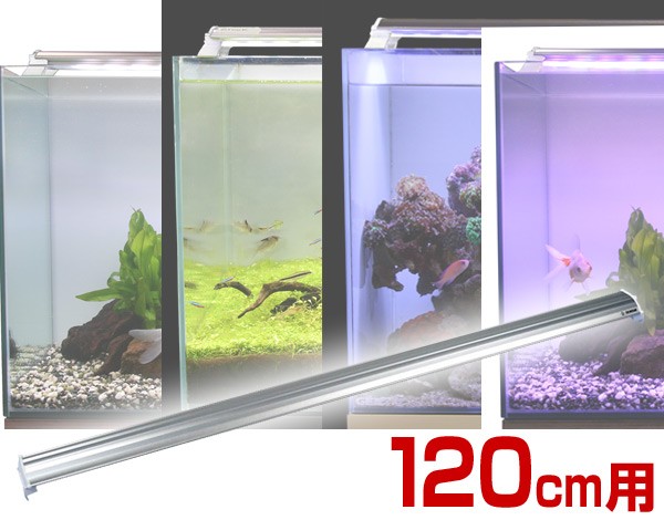 LEDランプ 120cm 水槽用 照明 ライト 水槽用照明 LEDライト 鑑賞魚 