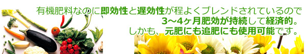 有機肥料なのに即効性と遅効性が程よくブレンドされているので3〜4ヶ月肥効が持続して経済的。しかも、元肥にも追肥にも使用可能です。