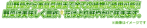 山野草から家庭菜園まで全ての植物に使用可能!!野菜は美味しく豊作、花はより鮮やかに咲きます。