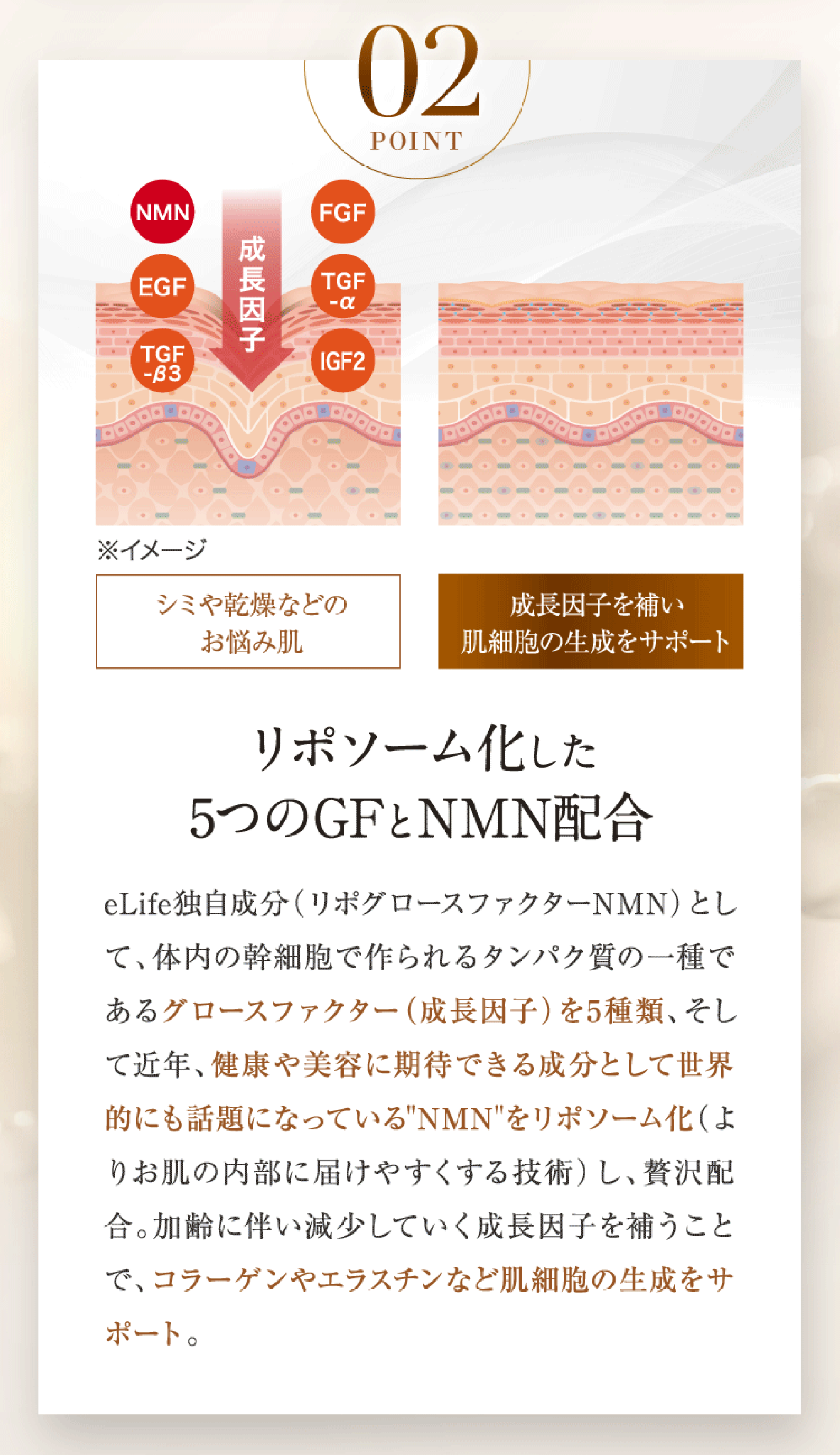 公式] 美容液 エイジングケア NMN VITAL eL SERUM (バイタル・エル・セラム) 30ml ハリ eLife（イーライフ） :  ef000001 : eLife-shop - 通販 - Yahoo!ショッピング