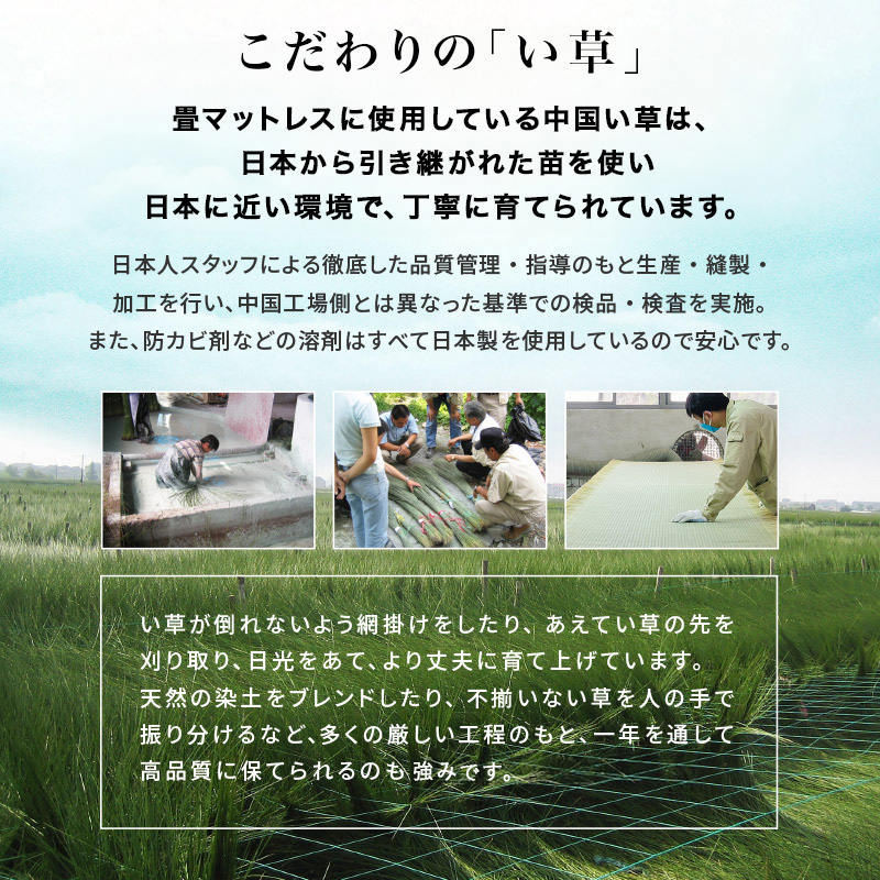 畳ベッド