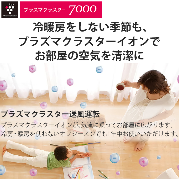 プラズマクラスター 東京 神奈川地域限定 標準取付工事費込 エアコン同