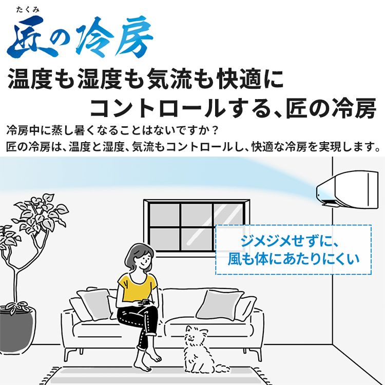 プラズマクラスター 標準取付工事費込 エアコン おもに10畳 シャープ V