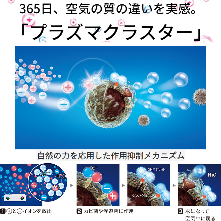 アウトレット☆送料無料】 AY-R22DH-Wエアコン シャープ 主に6畳用 単相100V SHARP AY-R-DHシリーズ ルームエアコン  プラズマクラスター ホワイト 冷暖房 冷房 暖房 2023年 モデル