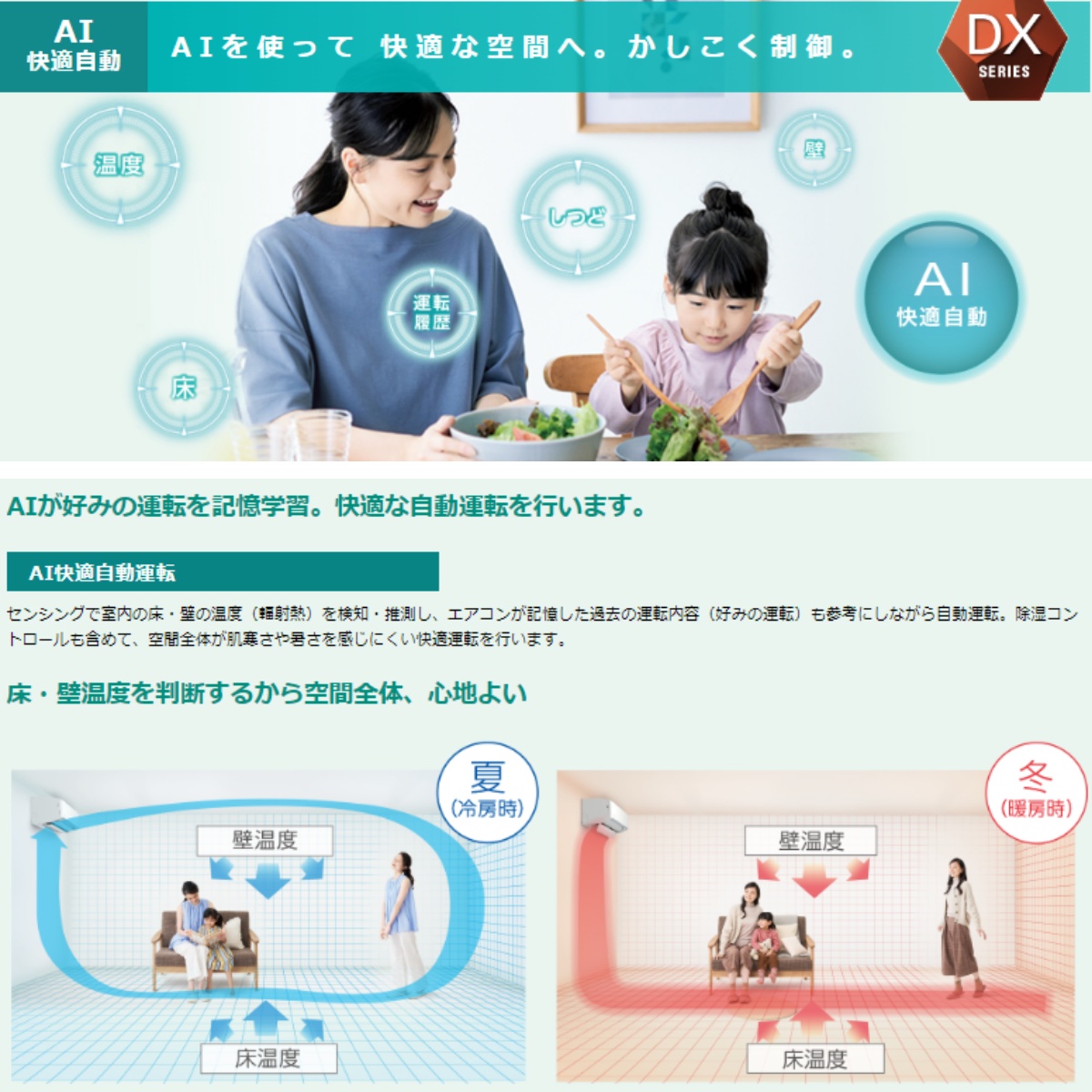 ダイキン S253ATDS-W エアコン おもに8畳 DXシリーズ 単相100V