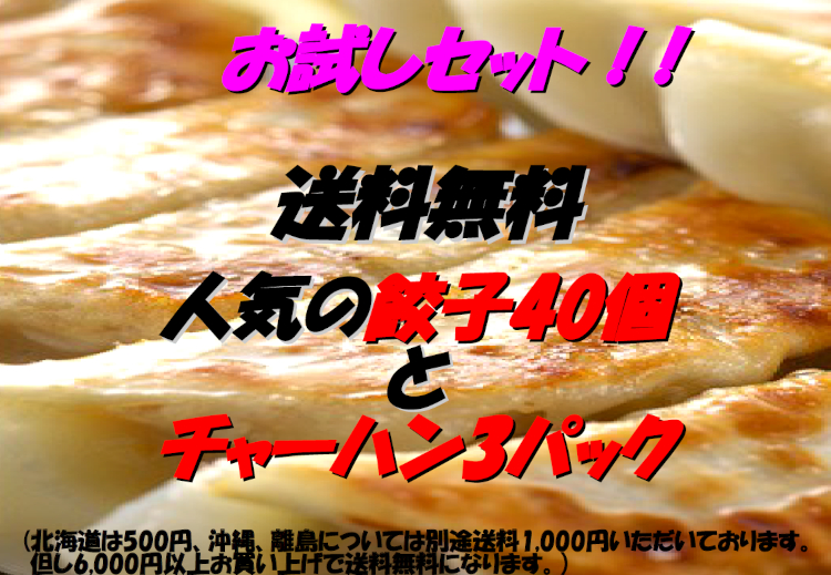 みんみん商品2 楽天市場】【送料無料】みんみんの餃子40個 チャーハン3パック