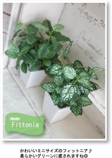 観葉植物 ミニフィットニア 18cm　造花 フェイクグリーン 光触媒 CT触媒