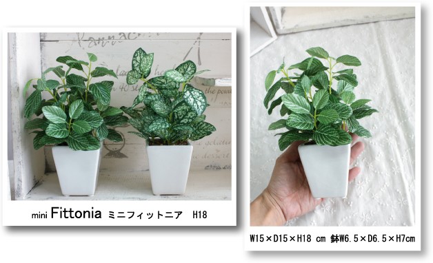 観葉植物 ミニフィットニア 18cm 造花 フェイクグリーン 光触媒 CT触媒