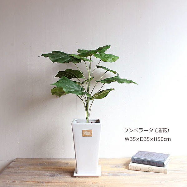 観葉植物 ウンベラータ 50cm 造花 フェイクグリーン CT触媒 消臭、抗菌