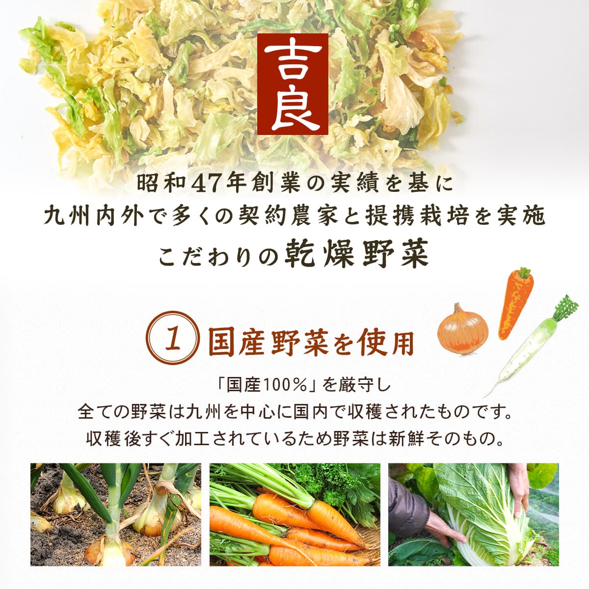 国産 乾燥野菜 ミックス 4種類の セット か...の詳細画像2