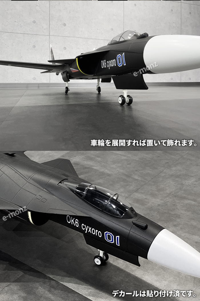 ビッグスケール戦闘機【F-22】大人のRCラジコンタイプ 超大型BIG