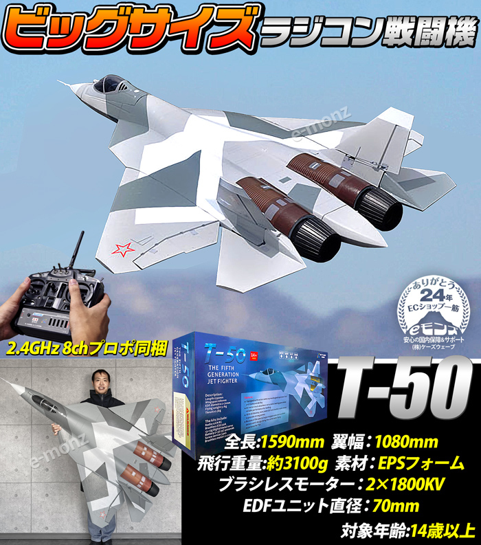 ラジコン RC 2.4g 2CH EPP F-22 おもちゃ ギフト ラプターモデル飛行機 固定翼 戦闘機 飛行機 【即納！最大半額！】 飛行機