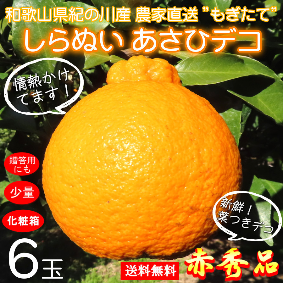 ゆっこ612　デコポン（不知火）和歌山県産　20キロ デコポン 和歌山県 産地直送 農家直送 秀品 通販 送料無料 しらぬい