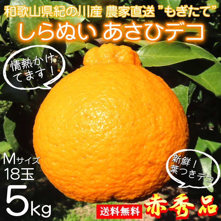 #204　不知火　しらぬい/デコポン　紀の川市産　特選品　箱込み5Kg×2箱 デコポン（不知火/しらぬい）5キロ箱 - わいんと地酒の店かたや