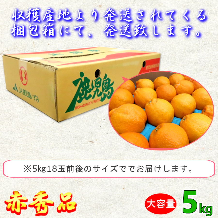 デコポン 甘い 大将季 5kg 秀品 通販 送料無料 果物 旬 贈答