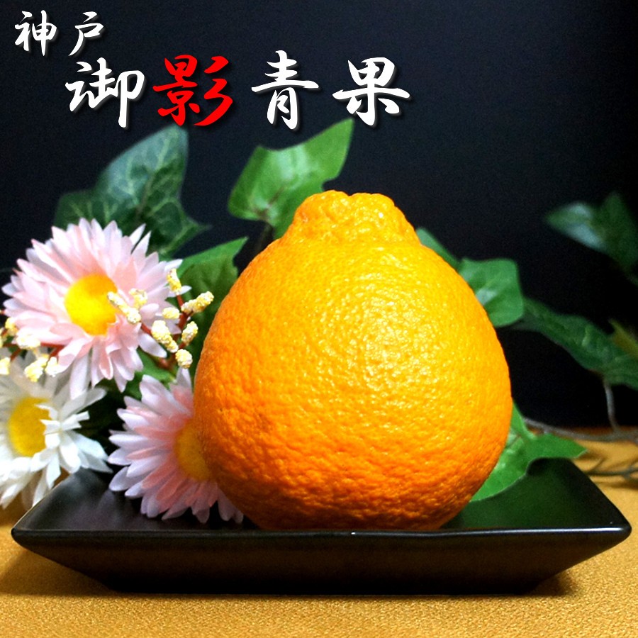 デコポン 大将季