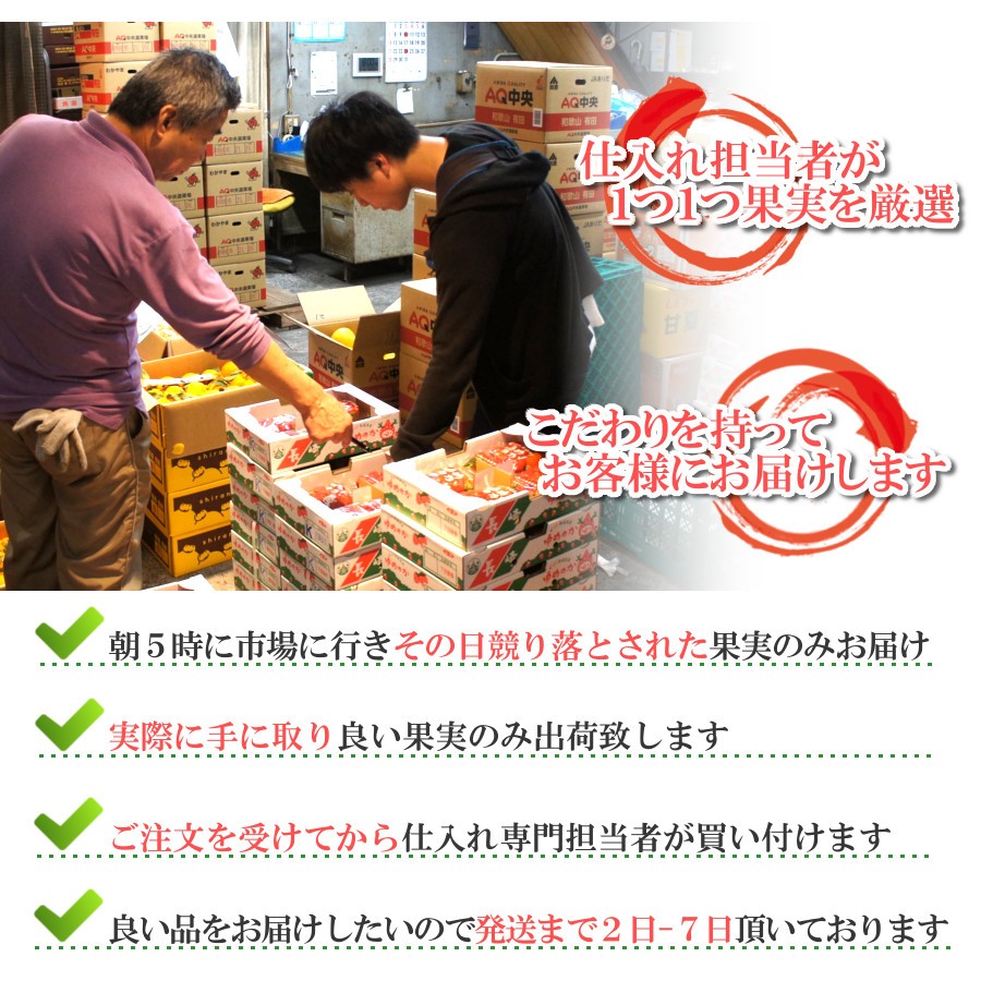 デコポン 大将季