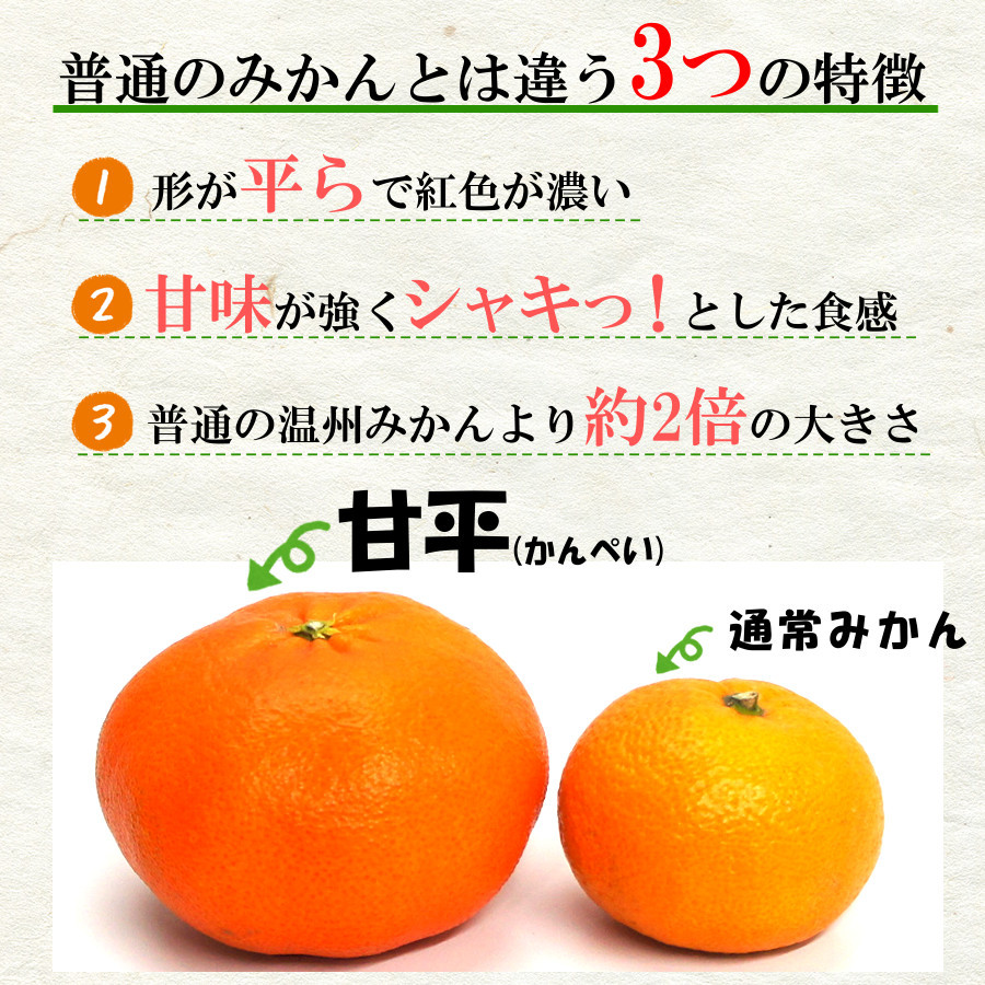 みかん 甘い 甘平 かんぺい 赤秀品 5kg 大玉 愛媛県産 越智今治 みかん 通販 送料無料 2月 旬 果物 高級柑橘 贈答