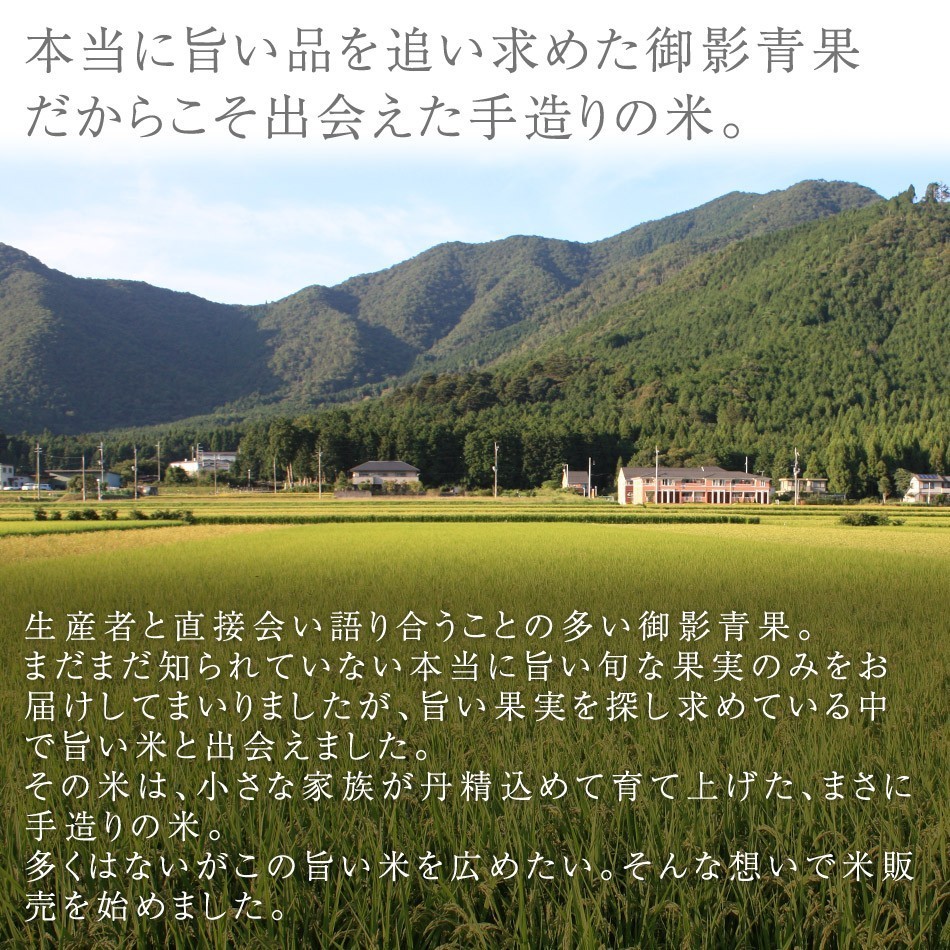 令和5年 2023 新米 コシヒカリ 30kg 玄米 白米 兵庫県産 お米 取り寄せ 通販 産地直送 送料無料 農家直送 減農薬 希少 ブランド米 清嶋 米 : kiyosi-30 : 神戸御影青果 - 通販 - Yahoo!ショッピング