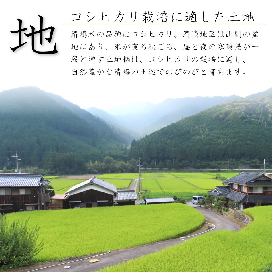 令和5年 2023 新米 コシヒカリ 30kg 玄米 白米 兵庫県産 お米 取り寄せ