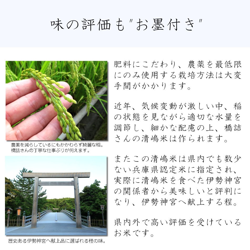 令和5年 2023 新米 コシヒカリ 30kg 玄米 白米 兵庫県産 お米 取り寄せ